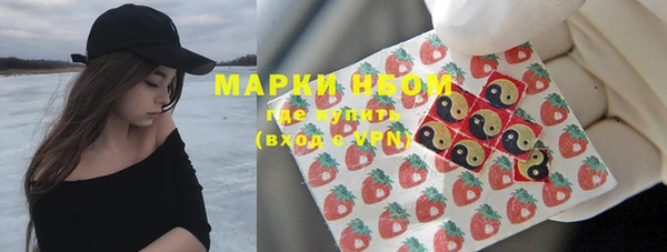 стаф Беломорск
