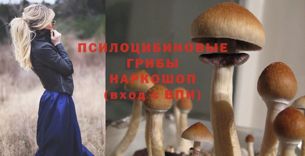 круглые Белокуриха