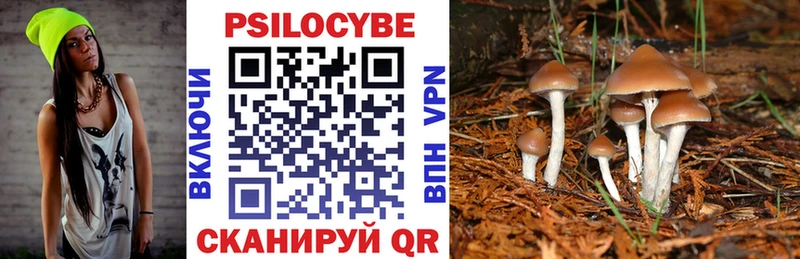 как найти   Вятские Поляны  blacksprut зеркало  Галлюциногенные грибы ЛСД 
