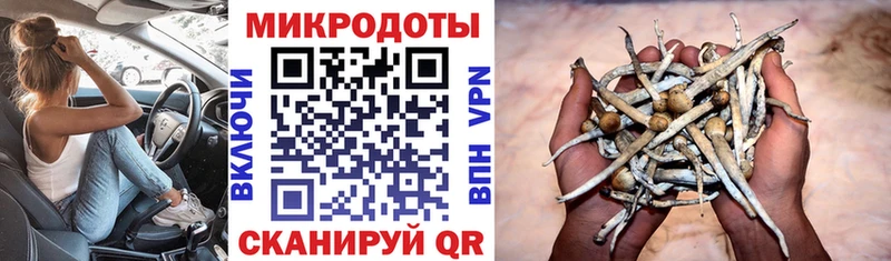 Галлюциногенные грибы Magic Shrooms Вятские Поляны