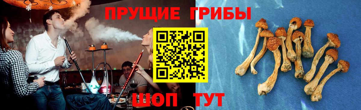 Псилоцибиновые грибы мицелий  Вход с VPN  Псилоцибиновые грибы Cubensis  Вятские Поляны 